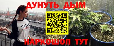 мдпв Майкоп