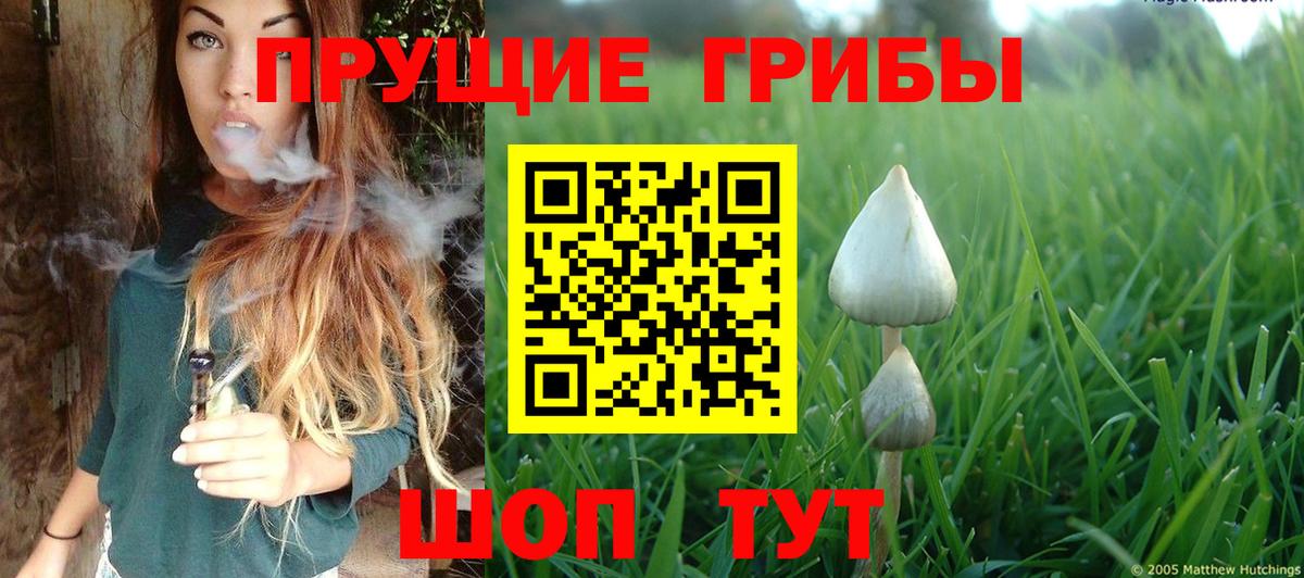 Галлюциногенные грибы MAGIC MUSHROOMS  Вход с VPN  Кохма  дарнет шоп  Псилоцибиновые грибы Cubensis 