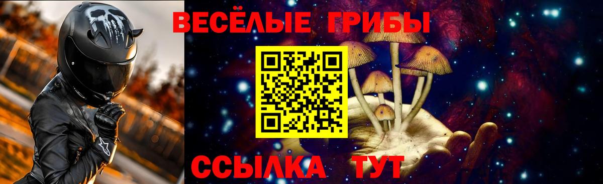 Галлюциногенные грибы ЛСД Кохма